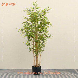 1000~OFFN[| tFCNO[ A | ou[ lHϗtA Ύ  CeA   rO ItBX ^ A ϗA sv ͂Ȃ ~͐A 傫 {