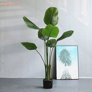 tFCNO[ lHϗtA ^ lH̍K̖ Xg`AEMl ϗA  CeAO[  ItBX X  lH ϗt ̓ ̓ 蕨 hV