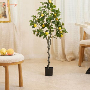 ̖ tFCNO[ ^  ϗt 傫  A { ͂Ȃ h R  GgX Mtg v[g zj lHϗtA ȒP s