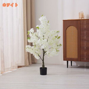 lHϗtA R  ̖ sN̍ tFCNO[ ybg _ k v[g A[gt[ lHA  J^ R sv  ^ lHϗt Vv C