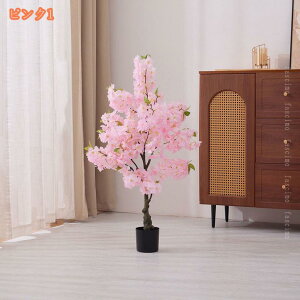 300~OFFN[| lHϗtA R  ̖ sN̍ tFCNO[ ybg _ k v[g A[gt[ lHA  J^ R sv  ^ lHϗt