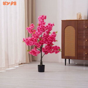 lHϗtA R  ̖ sN̍ tFCNO[ ybg _ k v[g A[gt[ lHA  J^ R sv  ^ lHϗt Vv C