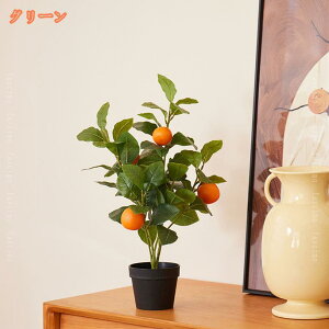 lHϗtA R  ~J̖ tFCNO[ ybg _ k v[g A[gt[ lHA  J^ R sv  ^ lHϗt Vv CeA 