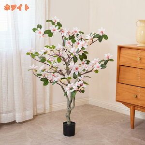 300~OFFN[| tFCNO[ ^ A A ʗ̖   { lHϗt lHA tFCNA ϗtA 傫 sv h R ItBX rO 