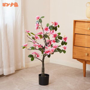 tFCNO[ ^ A A ʗ̖   { lHϗt lHA tFCNA ϗtA 傫 sv h R ItBX rO   O j