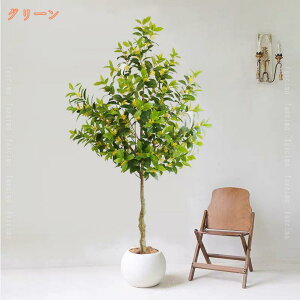 tFCNO[ ^ A A jԂ̖   { lHϗt lHA tFCNA ϗtA 傫 sv h R ItBX rO   O j 