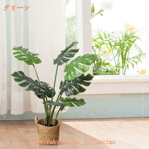 300~OFFN[| Xe tFCNO[ ^  ϗt 傫  A { ͂Ȃ h R  GgX Mtg v[g zj lHϗtA 