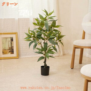 tFCNO[ ^ A A [J ʎ   { lHϗt lHA tFCNA ϗtA 傫 sv h R ItBX rO   O 