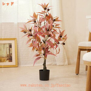 1000~OFFN[| lHϗtA R  [J ʎ tFCNO[ ybg _ k v[g A[gt[ lHA  J^ R sv  ^ lHϗt V