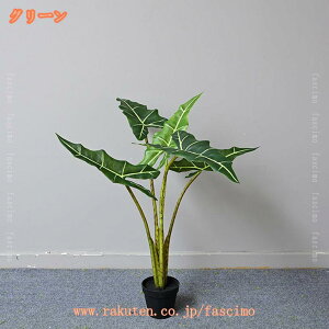 2000~OFFN[| NYC tFCNO[ lHϗtA ^   zj v[g  CeA  sv A { Ύ tFCNA 