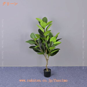 S̖ tFCNO[ lHϗtA ^   zj v[g  CeA  sv A { Ύ tFCNA sv ͂Ȃ 