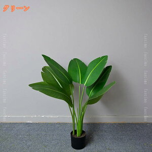 tFCNO[ ϗtA tFCN A lHϗtA ^ Ɋy Xg`A sv ȒPb  rO 傫 { A  ϗA Ύ Ce