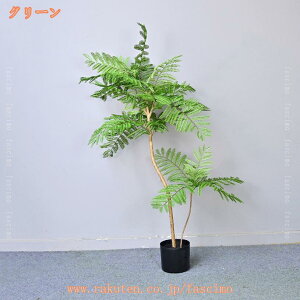 2000~OFFN[| tFCNWJ_̖ lHϗtA ϗt ȒPb ^tFCNO[  CeAO[ ~͐A {   sv rO It