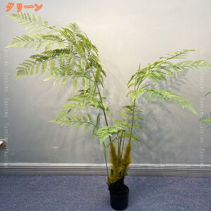 tFCNO[ ϗtA tFCN A lHϗtA ^ V_A sv ȒPb  rO 傫 { A  ϗA Ύ CeA  c