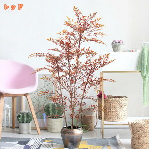 ou[ ie tFCNO[ lHϗtA ^   zj v[g  CeA  sv A { Ύ tFCNA sv 