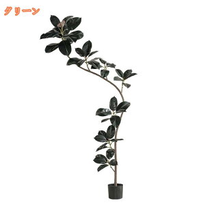 a K̖ tFCNO[ S̖ sv ͂Ȃ  lH ϗtA    tFCN t t rO  Q CeAO[  Mtg v[g A