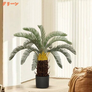 a K̖ tFCNO[ bJ bJ̖ sv ͂Ȃ  lH ϗtA    tFCN t t rO  Q CeAO[  Mtg v