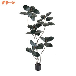 tFCNO[ ϗtA tFCN lHϗtA ^ S̖  J^  ze CeA A  j    tBJX K̖  rO ItBX  