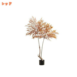 tFCNO[ ϗtA tFCN lHϗtA ^ ou[ |  J^  ze CeA A  j    tBJX K̖  rO ItBX  