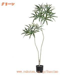 lHϗtA J|bN VFt tFCNO[ lH  rO ItBX l炵  ϗt CeA  j v[g Mtg R h {  ^ K