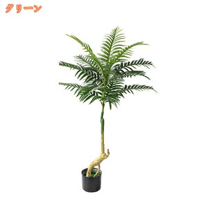 tFCNO[ lHϗtA ^ lH̍K̖ AJV ϗA  CeAO[  ItBX X  lH ϗt ̓ ̓ 蕨 hV̓ Mtg A