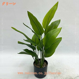 lHϗtA Ɋy Xg`A tFCNO[ lH  rO ItBX l炵  ϗt CeA  j v[g Mtg R h {  ^ K