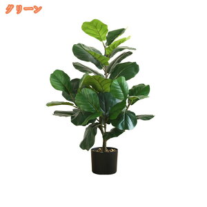 tFCNO[ ϗtA tFCN lHϗtA ^ Ex[^  J^  ze CeA A  j    tBJX K̖  rO ItBX 