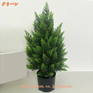 2000~OFFN[| ϗtA ̖ NX}Xc[ tFCNO[ lH  rO ItBX l炵  CeA R h _ i` V  bȂ 