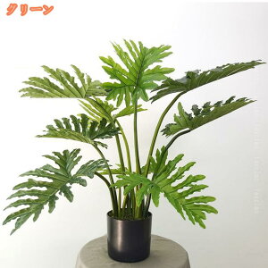 lHϗtA Xe tFCNO[ lH  rO ItBX l炵  ϗt CeA  j v[g Mtg R h {  ^ K̖ lH