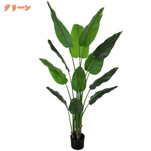 2000~OFFN[| ϗtA Ɋy Xg`A tFCNO[ lH  rO ItBX l炵  CeA R h _ i` V  bȂ 