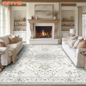 300~OFFN[| O Ԗ͗l 􉽊w  2 1 O~ AeB[N イ k AJ g  J[ybg OK Vіяoɂ R hL GXjbN ` r