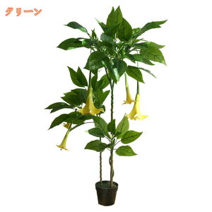 lHϗtA tFCNA tFCNO[ ^  CeA lH ϗtA ϗt A A sv ͂Ȃ ~͐A   ItBX XX K肤 Vzj Ce