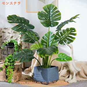 1000~OFFN[| lH ϗtA tFCN kINS tFCNO[ ^  CeA  O tFCNA lHϗtA sv ͂Ȃ ~͐A ϗA Vv ItBX