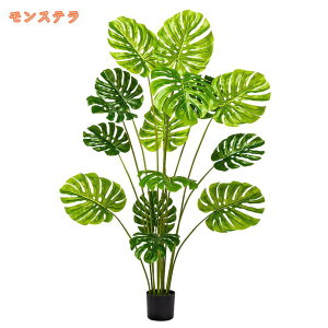 ϗtA tFCNO[  CeAO[ ^  a lHϗtA    z[ ItBX x_ CeA  O tFCNA sv ͂Ȃ Q