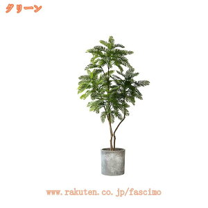 tFCNO[ A lHϗtA tFCNA  A ItBX rO Q  L ȒP zj ze [ ɒuA  ^  lH~