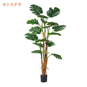 tFCNO[ A lHϗtA tFCNA  A ItBX rO Q  L ȒP zj ze [ ɒuA  ^  lH~