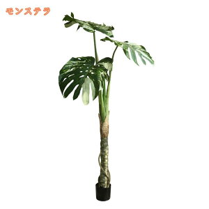 lHϗtA tFCNA tFCNO[ ^  CeA lH ϗtA ϗt A A sv ͂Ȃ ~͐A   ItBX XX K肤 Vzj Ce