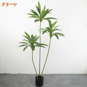 1000~OFFN[| ϗtA tFCNO[ A ^ lHϗt A A ͂Ȃ tFCNA lHϗt CeA ȒP sv Q̐SzȂ ϗt  