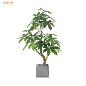 lHϗtA tFCNO[ ϗt  t  z[fR[V  CeA z[ ItBX fR[V ϗtA    A A sv Q