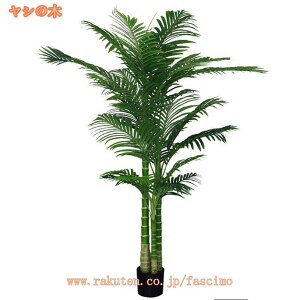 ^tFCNO[ lHϗtA  k CeA A |bgt rO ItBX X  tFCNvg sv ȒP JXj Vzj   