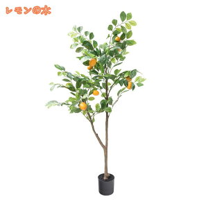 c[ tFCNO[ lHϗtA ʎt tFCNc[ tFCNϗtA JtF  ֐ rO xbh[ ϗt A bȂ ͂Ȃ  Iȑ