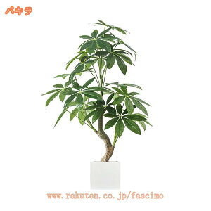 lHϗtA tFCNO[ ϗt  t  z[fR[V  CeA z[ ItBX fR[V ϗtA    A A sv Q