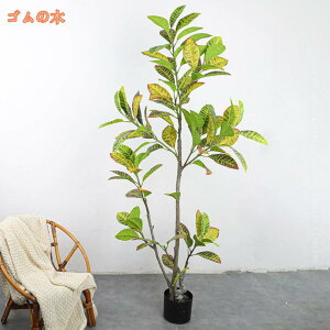 ^tFCNO[ lHϗtA  k CeA A |bgt rO ItBX X  tFCNvg sv ȒP JXj Vzj   