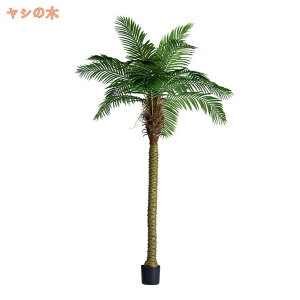 ϗtA tFCN k tFCNO[ ^ lHϗtA ԃc[ CeA  O tFCNA lH lH sv ͂Ȃ ~͐A ꂢ fG fRp 