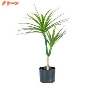  lHϗtA ^  lHΐA X i ƒ    tFCNO[ j JXj ̓ ͂Ȃ sv b炸 eiXsv Q΍sv J