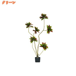 k CeAO[ ϗtA lHϗt tFCNO[ ^  lHϗtA Vv  lH A ItBX CeA G  Mtg  O sv