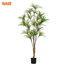 2000~OFFN[| lHϗtA ^ tFCNO[ lHϗt A A ͂Ȃ tFCNA  _ c[ ~    rO[ X i ƒ   