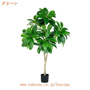 tFCNA    rO   lH  Vv CeA O[ Mtg v[g er  ItBX lHϗt ^ A lHϗtA 傫 