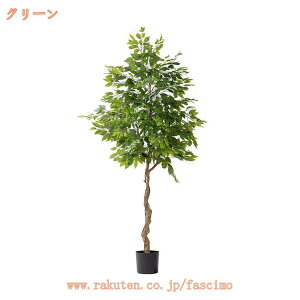 k CeAO[ ϗtA lHϗt tFCNO[ ^  lHϗtA Vv  lH A ItBX CeA G  Mtg  O sv