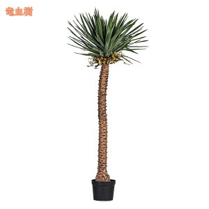 2000~OFFN[| ϗtA tFCN k tFCNO[ ^ lHϗtA ԃc[ CeA  O tFCNA lH lH sv ͂Ȃ ~͐A ꂢ 